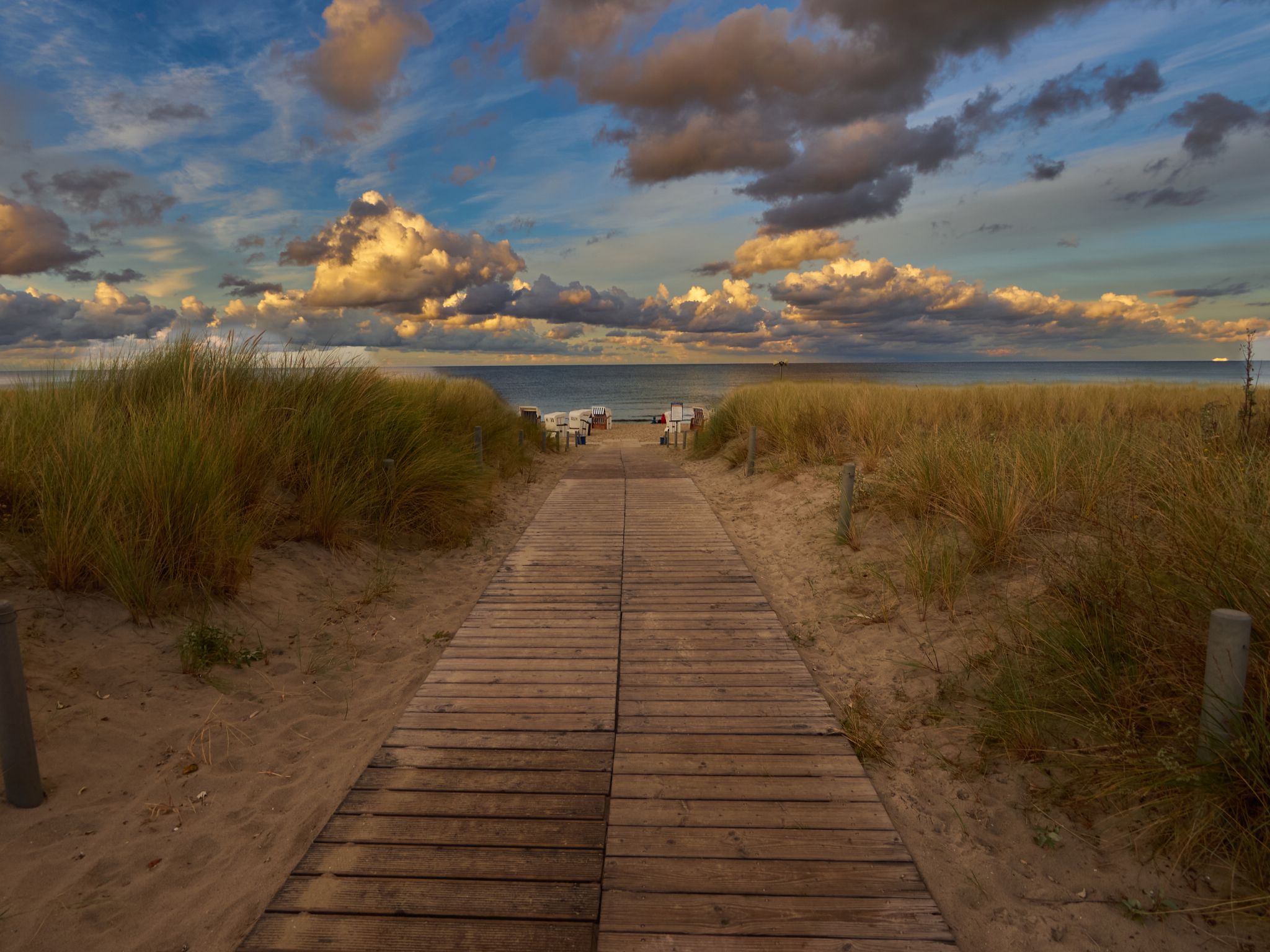 Landschaft 2024  1725 Usedom